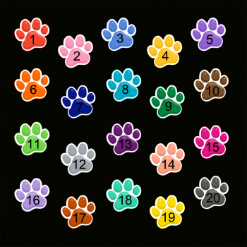 Preview: Impfpasshülle Hund Pfote freie Farbwahl